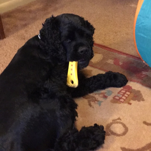 Meet your Posher, Julie - Picture 1 of 1